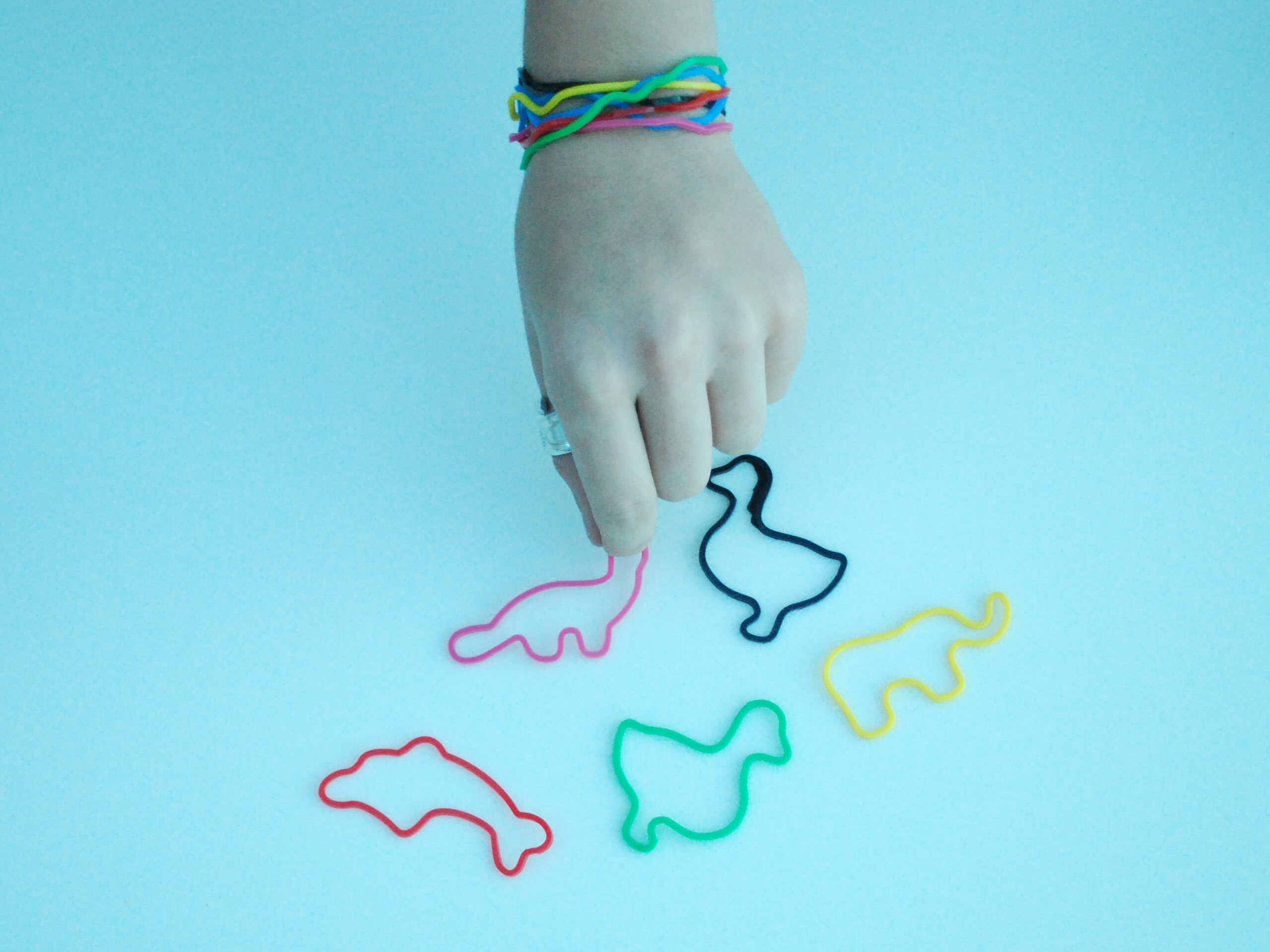 Silly Bandz Sensation Sweeps Nation - The New Paltz Oracle