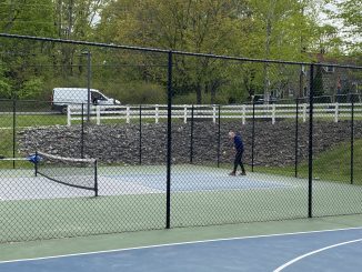 Many features of Hasbrouck Park are in need of fixing.