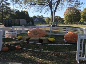 The festival was held over the weekend at Dutchess County Fairgrounds for the fifth time, and included a variety of entertainment and over 100 craft vendors.