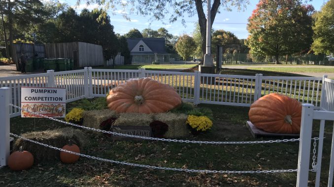 The festival was held over the weekend at Dutchess County Fairgrounds for the fifth time, and included a variety of entertainment and over 100 craft vendors.