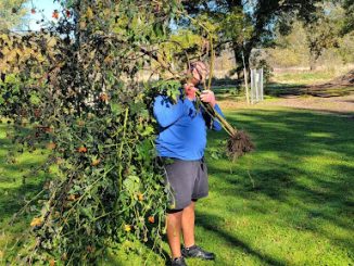 Make a Difference Day is one of New Paltz’s yearly events that aims to bring students and the community of New Paltz together. Since the pandemic, student engagement has been low.